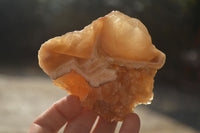 Natural Honey Aragonite Etched & Cobbed Pieces  x 6 From Namibia