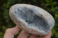 Polished Blue Celestite Standing Free Forms  x 2 From Sakoany, Madagascar - Toprock Gemstones and Minerals 