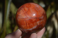 Polished Carnelian Agate Spheres  x 2 From Madagascar