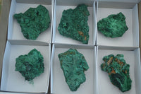 Natural Chatoyant Silky Malachite Specimens  x 6 From Kasompe, Congo - Toprock Gemstones and Minerals 