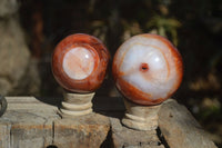 Polished Carnelian Agate Spheres  x 2 From Madagascar