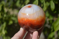 Polished Carnelian Agate Spheres  x 2 From Madagascar