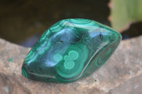 Polished Flower Banded Malachite Free Forms  x 12 From Congo - Toprock Gemstones and Minerals 