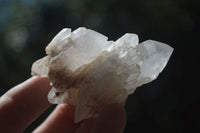 Natural Small Mixed Quartz Clusters  x 24 From Madagascar - Toprock Gemstones and Minerals 