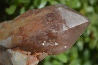 Natural Red Hematoid Quartz Specimens x 2 From Karoi, Zimbabwe