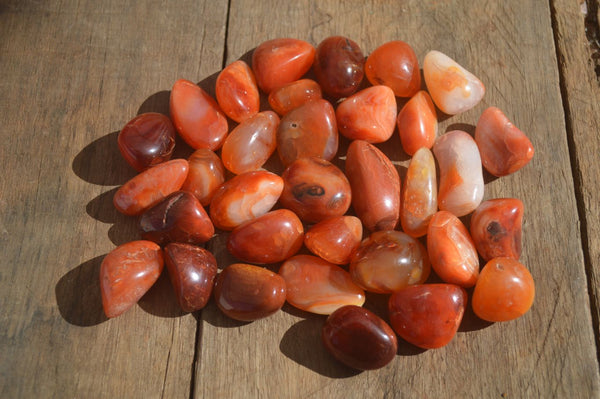 Polished Mini Carnelian Agate Tumble Stones x 71 From Madagascar