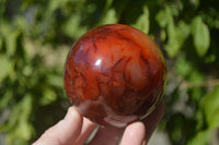 Polished Carnelian Agate Spheres  x 2 From Madagascar