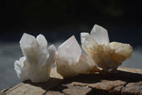 Natural Small Mixed Quartz Clusters  x 24 From Madagascar - Toprock Gemstones and Minerals 