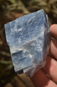 Natural New Sky Blue Calcite Specimens  x 24 From Spitzkop, Namibia