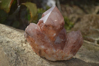 Natural Red Hematoid Quartz Specimens x 2 From Karoi, Zimbabwe