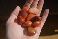 Polished Mini Carnelian Agate Tumble Stones x 71 From Madagascar