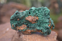 Natural Chatoyant Silky Malachite Specimens  x 6 From Kasompe, Congo - Toprock Gemstones and Minerals 