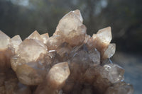 Natural White Phantom Smokey Quartz Cluster x 1 From Luena, Congo