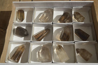 Polished Wispy Phantom Smokey Quartz Points x 12 From Madagascar