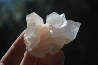 Natural Small Mixed Quartz Clusters  x 24 From Madagascar - Toprock Gemstones and Minerals 