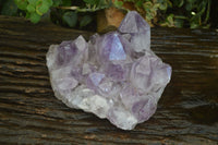 Natural Jacaranda Amethyst Cluster  x 1 From Zambia - Toprock Gemstones and Minerals 