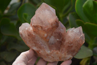 Natural Red Hematoid Quartz Specimens x 2 From Karoi, Zimbabwe