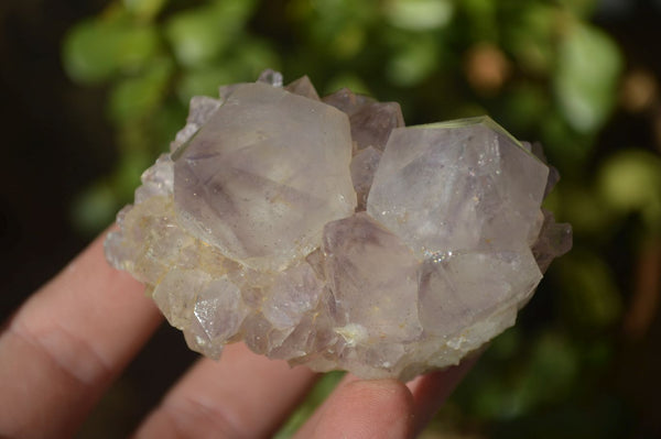 Natural Mixed Spirit Quartz Clusters x 6 From Boekenhouthoek, South Africa