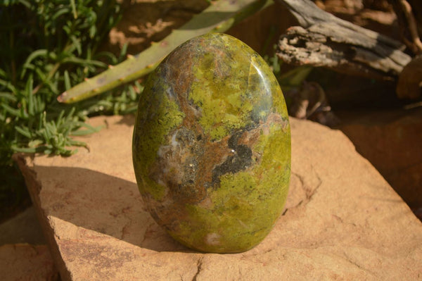 Polished  Green Opal Standing Free Forms  x 2 From Madagascar