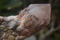 Natural Red Hematoid Quartz Specimens x 2 From Karoi, Zimbabwe