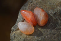 Polished Mini Carnelian Agate Tumble Stones x 71 From Madagascar