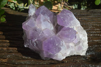 Natural Jacaranda Amethyst Cluster  x 1 From Zambia - Toprock Gemstones and Minerals 