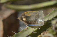 Polished Wispy Phantom Smokey Quartz Points x 12 From Madagascar