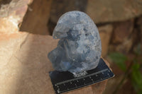 Polished Blue Celestite Standing Free Forms  x 2 From Sakoany, Madagascar - Toprock Gemstones and Minerals 