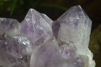 Natural Jacaranda Amethyst Cluster  x 1 From Zambia - Toprock Gemstones and Minerals 