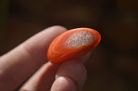 Polished Mini Carnelian Agate Tumble Stones x 71 From Madagascar