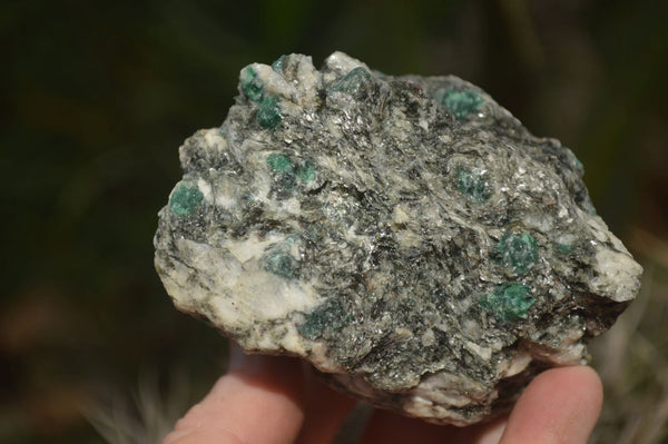 Natural Rare Emerald Mica In Matrix Cobbed Specimens x 12 From Mutoko, Zimbabwe