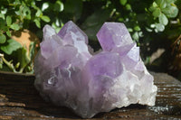 Natural Jacaranda Amethyst Cluster  x 1 From Zambia - Toprock Gemstones and Minerals 