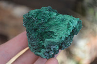 Natural Chatoyant Silky Malachite Specimens  x 6 From Kasompe, Congo - Toprock Gemstones and Minerals 