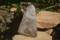 Polished Extra Large Smokey Window Quartz Crystal x 1 From Madagascar