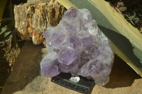 Natural Jacaranda Amethyst Cluster  x 1 From Zambia - Toprock Gemstones and Minerals 