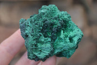 Natural Chatoyant Silky Malachite Specimens  x 6 From Kasompe, Congo - Toprock Gemstones and Minerals 