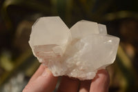 Natural Clear Quartz Crystal Clusters  x 12 From Madagascar