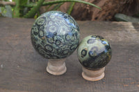 Polished Stromatolite / Kambamba Jasper Spheres  x 2 From Madagascar - Toprock Gemstones and Minerals 