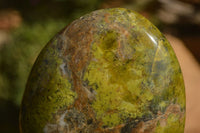 Polished  Green Opal Standing Free Forms  x 2 From Madagascar