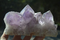 Natural Jacaranda Amethyst Cluster  x 1 From Zambia - Toprock Gemstones and Minerals 