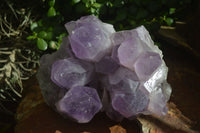 Natural Jacaranda Amethyst Cluster  x 1 From Zambia - Toprock Gemstones and Minerals 