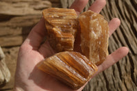 Natural Honey Aragonite Etched & Cobbed Pieces  x 12 From Namibia