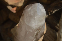 Polished Extra Large Smokey Window Quartz Crystal x 1 From Madagascar