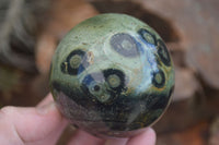 Polished Stromatolite / Kambamba Jasper Spheres  x 2 From Madagascar - Toprock Gemstones and Minerals 