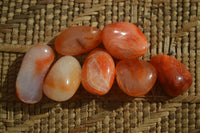 Polished Mini Carnelian Agate Tumble Stones x 71 From Madagascar