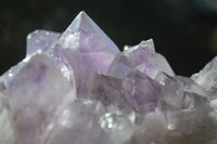 Natural Jacaranda Amethyst Cluster  x 1 From Zambia - Toprock Gemstones and Minerals 