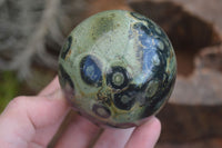 Polished Stromatolite / Kambamba Jasper Spheres  x 2 From Madagascar - Toprock Gemstones and Minerals 