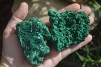 Natural Chatoyant Silky Malachite Specimens  x 6 From Kasompe, Congo - Toprock Gemstones and Minerals 