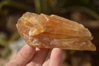 Natural Honey Aragonite Etched & Cobbed Pieces  x 12 From Namibia