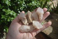 Natural Single Pineapple Candle Quartz Crystals  x 35 From Antsirabe, Madagascar - Toprock Gemstones and Minerals 